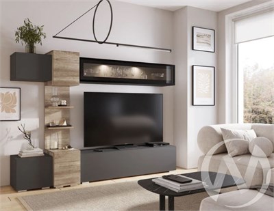 Гостиная Рейн ГС-01   (Н) (А) (МФ) 6495