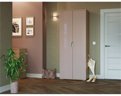 Шкаф "Тренто" (Дуб сонома/Капучино глянец)  (Т-А) 6733