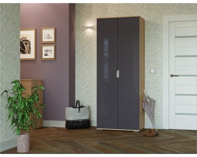 Шкаф "Тренто" (Дуб сонома/Графит глянец) в Новосибирске  (Т-А) 6737