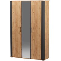 Шкаф трехдверный распашной с зеркалом Ольга 2   (Э) 6822