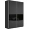 Шкаф-купе Прайм 2-х дверный (3 секции ДСП/стекло черное)  (Е) 3595