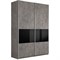 Шкаф-купе Прайм 2-х дверный (3 секции ДСП/стекло черное)  (Е) 3595