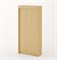 ШКАФ-КУПЕ 2Х-СТВОРЧАТЫЙ  (Б) 4778