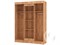 Шкаф-купе Фея  (Н) 4879